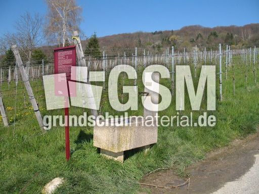 Weil am Rhein Weiler Weinweg 014.jpg